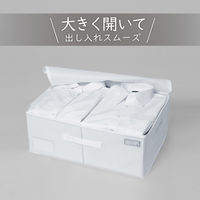 アストロ mayuyam 衣類用収納袋 860-01 1個（直送品）