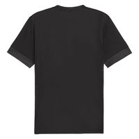 PUMA(プーマ) サッカー プラクティスシャツ teamGOAL ゲームシャツ L 03 706362 1枚（直送品）