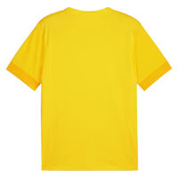 PUMA(プーマ) サッカー プラクティスシャツ teamGOAL ゲームシャツ XXL 07 706362 1枚（直送品）