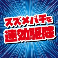 スズメバチ キンチョール ジェット 最長15m噴射 駆除 スプレー 510mL 1本 KINCHO キンチョー
