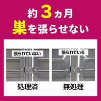 クモの巣阻止 キンチョール ジェット 蜘蛛の巣 作らせない 3ヶ月 450mL 1本 KINCHO キンチョー