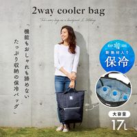 アイメディア 保冷リュック ブラック 1008176 1個（直送品）