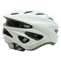 サギサカ スポーツヘルメット SG規格 46282 1個（直送品）