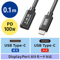 サンワサプライ USB5Gbps TypeーC延長ケーブル（PD100W・0.1m） KUー5GCCP100EN01 1本