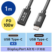 サンワサプライ USB5Gbps TypeーC延長ケーブル（PD100W・1m） KUー5GCCP100EN10 1本
