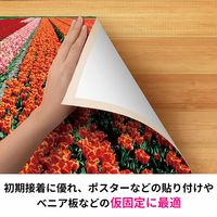 スリーエム(3M) スコッチ 厚手両面テープ 幅50mm×長さ15m 1セット（18巻入） PAD-50