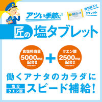 暑さ対策 塩分補給 塩分対策  匠の塩タブレットうましゅわサイダー味 1個