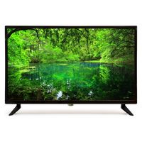 ティーズネットワーク 24型3波Wチューナー液晶テレビ LE-243H 1台（直送品）