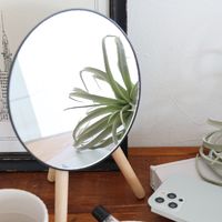 ラウンドスタンドミラー ブラック LAKOLE/ラコレ