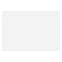 アスクル カードケース ソフトタイプ A3  1箱（100枚） オリジナル