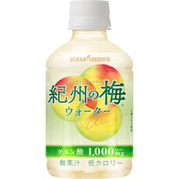 ポッカサッポロフード＆ビバレッジ 紀州の梅ウォーター 270ml 1箱（24本入）