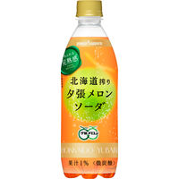 ポッカサッポロフード＆ビバレッジ 北海道搾り夕張メロンソーダ 500ml 1箱（24本入）