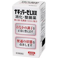 ナチュラーゼLX 360錠 福地製薬 消化・整腸薬【第3類医薬品】