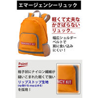 エムアンドティー 緊急防災17点セット 6300062386 1セット（直送品）