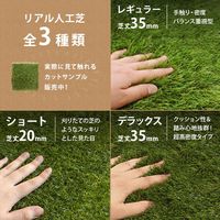 ミナト電機工業 リアル人工芝 通常タイプ 1m×2m デラックス AT-DX350-0102 1個（直送品）