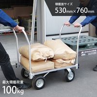 ミナト電機工業 アルミ台車 MTA-100NWH 両側ハンドル仕様 1個（直送品）