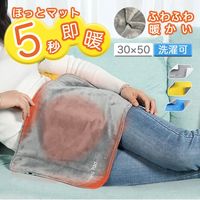 武興商事 【Type-C電源】ホットマット 一人用 電気マット 省エネ 洗える グレー 101118 1個（直送品）