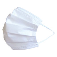 丸玉工業 冷感不織布マスク 50枚入箱(ホワイト) 90379905 1箱（直送品）