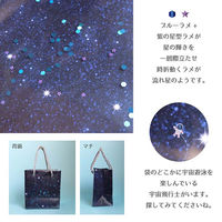 丸玉工業 スノードームバッグ(スターゲイザー) 90011304 1枚（直送品）