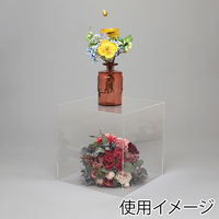 シモジマ HEIKO アクリルサイコロ 5面体 300角 007307911 1個