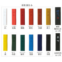 呉竹 彩墨 深美 14点セット AK8/14V 1セット（直送品）