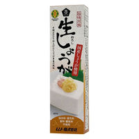 旨味本来・生しょうがチューブ入り40ｇ ３個 国産しょうが使用　生姜 ムソー