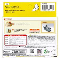 太洋 きになるニオイトリ 靴・ブーツ用 1枚入 N-S1R-2 1枚（直送品）