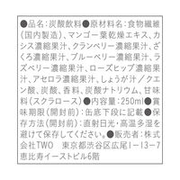 TWO 2Energy 250ml×10本 4589570801348 1セット(250ml×10本（直送品）