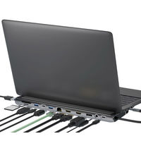 エアリア TypeC接続ドッキングステーションREVERSIBLE TWELEVE　Ver.DP SDーCMULTIDX02 1個