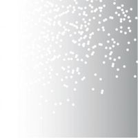 ペベオ・ジャポン Pebeo デコスプレー 200mlグリッター色 シルバーグリッター 093892 1本 538-2796（直送品）