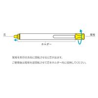 エスコ ゲルチョーク(黒/ホルダー付) EA765MP-602 1セット(6パック)（直送品）