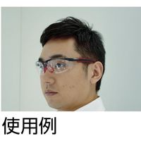 トラスコ中山 TRUSCO 二眼型セーフティグラス ツル特殊構造 ブルー TSG-9901B-H 1個 685-6205（直送品）