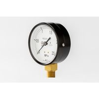 高島 一般蒸気用圧力計(A枠立型・φ100)圧力レンジ0.0~2.5MPa G3/8【102712540】 102712540 1個（直送品）