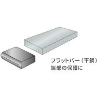 岩田製作所 IWATA 保護キャップ フラットバー用 (10個入) 黒 HLDPF4X50-P 1袋(10個) 565-7368（直送品）