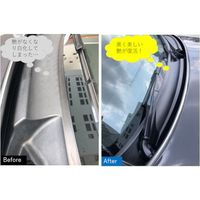 ビアンコジャパン ビアンコ ビアンコート 車の樹脂パーツ復元ガラスコーティング(ブラック)100ml BC-101CR-V 1本（直送品）