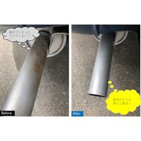 ビアンコジャパン ビアンコ ビアンコート 車の金属パーツ復元ガラスコーティング(シルバー)100ml BC-101CR-M 1本（直送品）