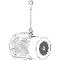 HALDER ネジ山クランプ式リフティング・ピン スイベルタイプ ステンレス鋼(0.2t) 22353.1008 1個（直送品）