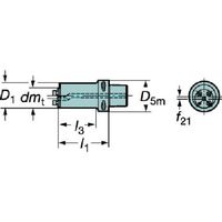 サンドビック SANDVIK コロマントキャプト コロターンSLボーリングバイト(410) C5-570-2C 25 054L 1個（直送品）