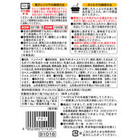 日東ベスト [冷凍] EC鉄板焼チーズインハンバーグ 100g 4902385014367 1個(100g)（直送品）