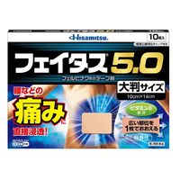 フェイタス 5.0大判サイズ10枚 久光製薬 関節痛 筋肉痛 腰痛 腱鞘炎【第2類医薬品】
