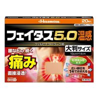 フェイタス 5.0温感大判サイズ 20枚 久光製薬 関節痛 筋肉痛 腰痛 腱鞘炎【第2類医薬品】