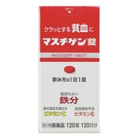 マスチゲン錠 120錠入（120日分）日本臓器製薬 貧血 鉄分配合【第2類医薬品】
