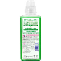 【アウトレット】ナノックス ワン（NANOX one） 部屋干し 本体 大サイズ 640g 1個 洗濯洗剤 ライオン