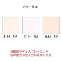 ハウスボックス エコスター 超高隠蔽 300ml/5114PM 120910900000000 1本（直送品）