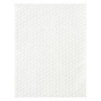 軽梱包用エアー緩衝袋フラップなし200mm×260mm 100枚入り PPFN31 1個（100枚） オリジナル