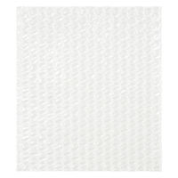 軽梱包用エアー緩衝袋フラップなし160mm×180mm 100枚入り PPFN21 1個（100枚） オリジナル