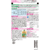 【除草剤】 レインボー薬品 ネコソギブロックＶ粒剤　100g袋 1袋（100g入）