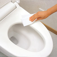 アズマ工業 トイレ用ウェットシート 1パック（30枚入）