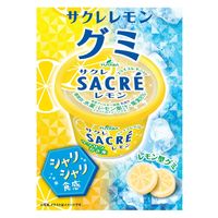 グミ サクレ レモングミ  40g 10袋  小袋 食べきりサイズ