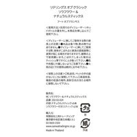 三和トレーディング モリス RCソラフラワーナチュラルスティック アロマ  ACANTHUS 1個(7本）